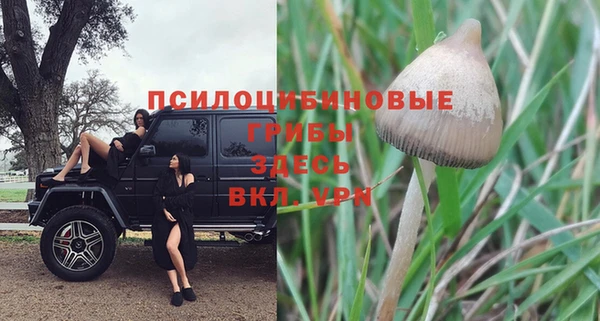 тгк Майский