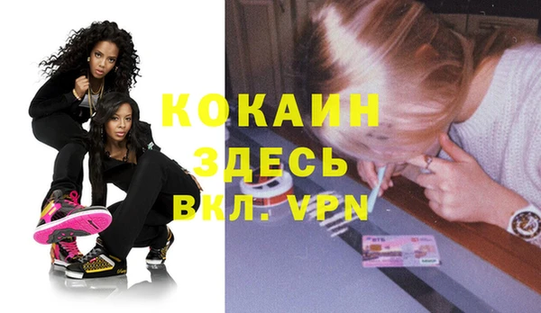 индика Лихославль
