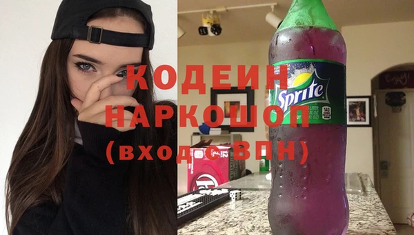 индика Лихославль