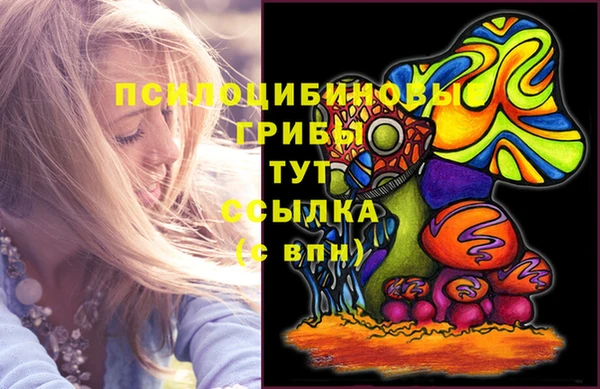 тгк Майский