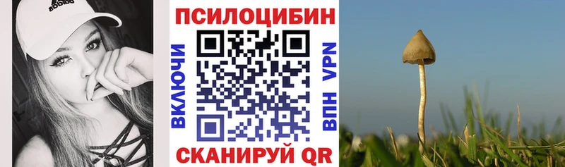 Псилоцибиновые грибы прущие грибы  Никольское 