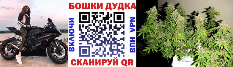 Бошки Шишки ГИДРОПОН  Никольское 